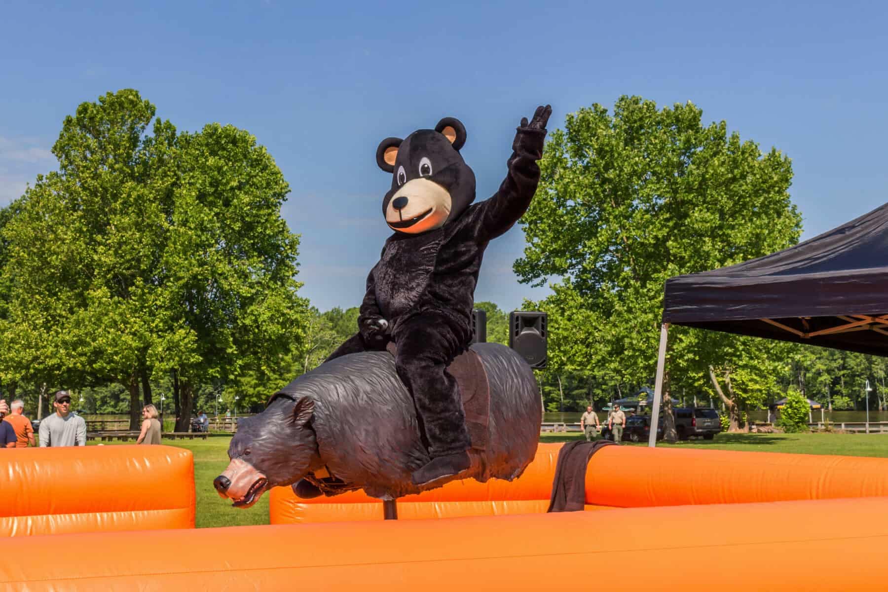 Mechanical-Bear-13-Tom-in-Suit_edited-1-scaled Person in a bear costume rides a mechanical bull outdoors, surrounded by orange inflatable barriers.