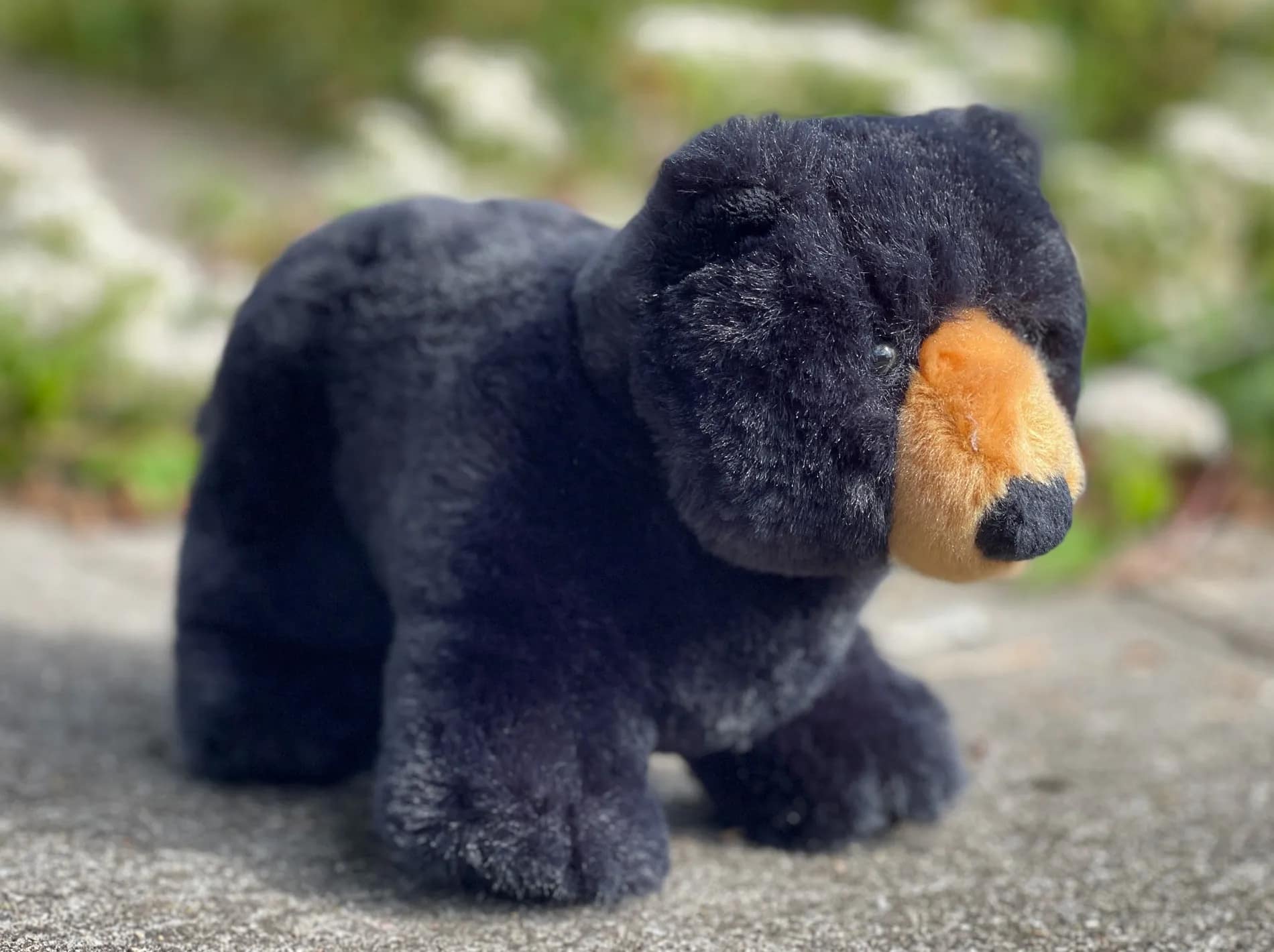 bear-build-3
