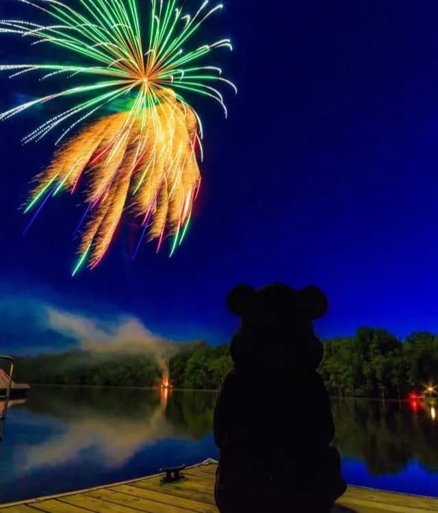 fireworks-2c